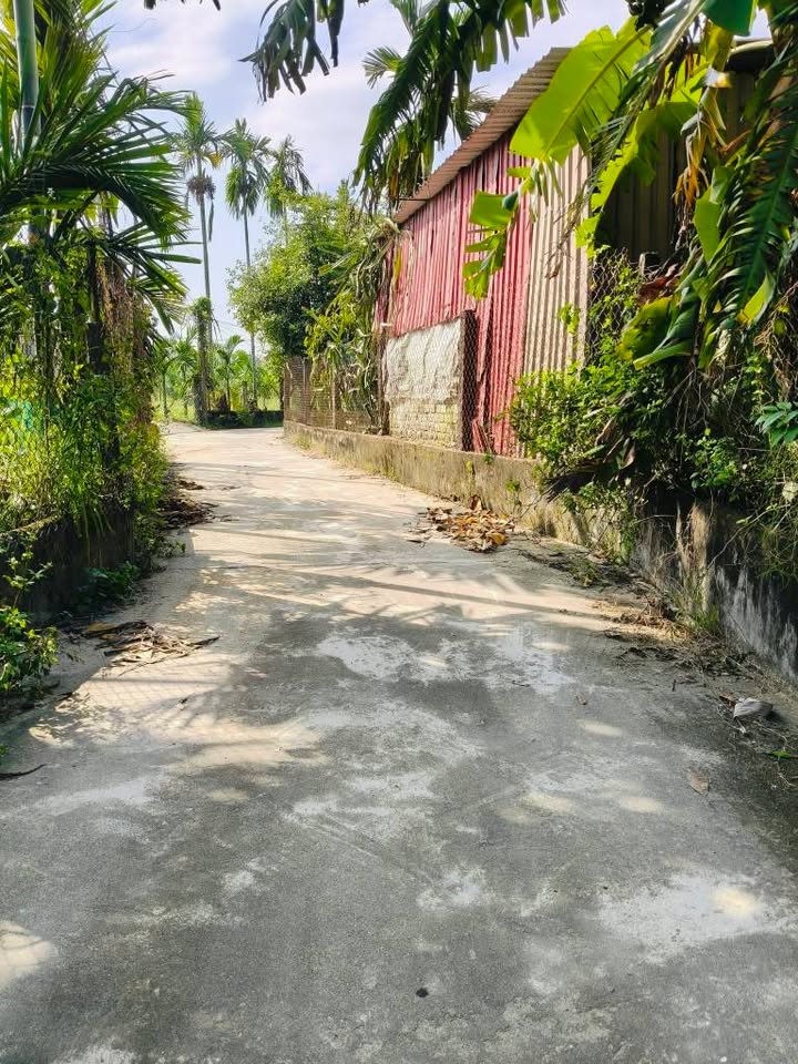 Đất Tịnh Ấn Tây 130m² giá thỏa thuận - Đường bê tông ô tô, dân cư đông đúc!