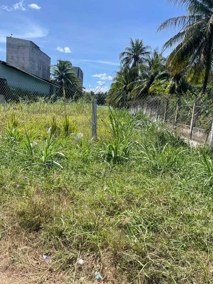 Đất mặt tiền đường 885, huyện Giồng Trôm, diện tích 2600m² giá chỉ 4.3 tỷ - Cơ hội đầu tư hấp dẫn!