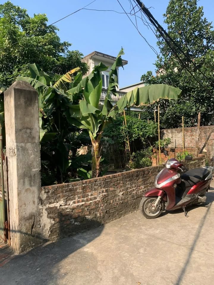 Đất 53m² Phú Thị, Gia Lâm - Giá 3.x tỷ - Đầu tư sinh lời ngay hôm nay!