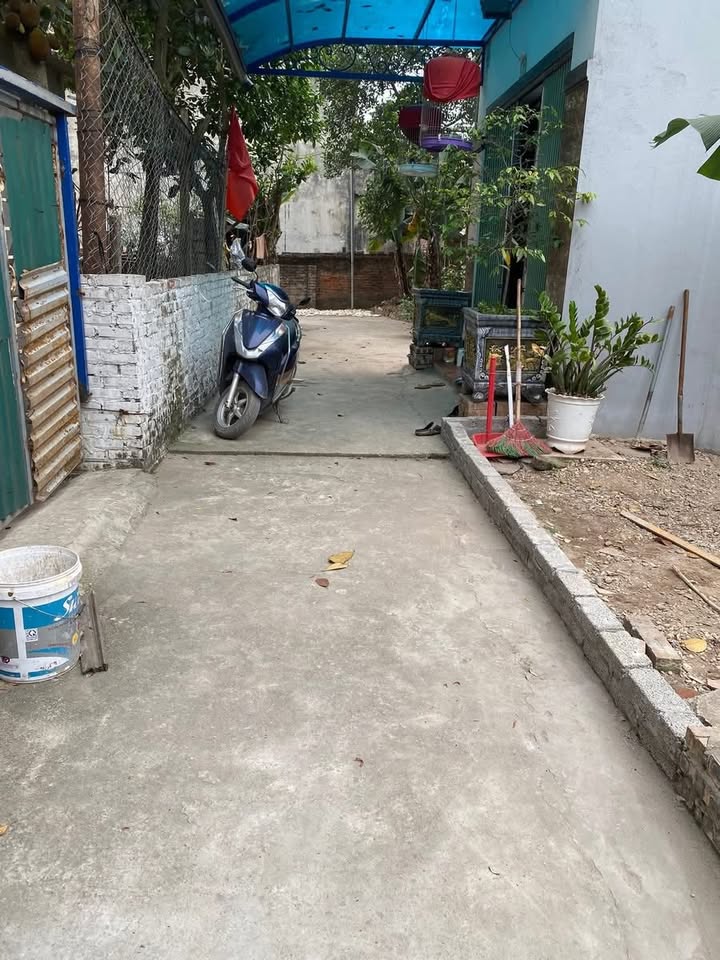 Nhà riêng Mai Lâm, Đông Anh 62m² giá 600 triệu - Hướng Đông mát mẻ!