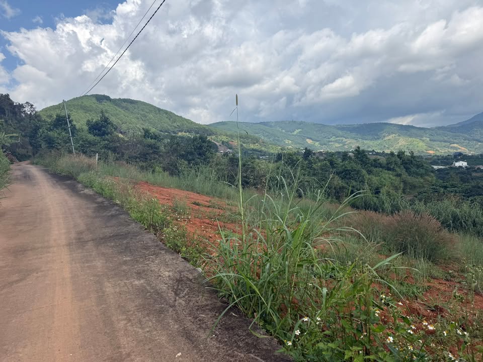 Đất nền Mê Linh Lâm Hà 1000m² giá tốt - Cơ hội đầu tư sinh lời!