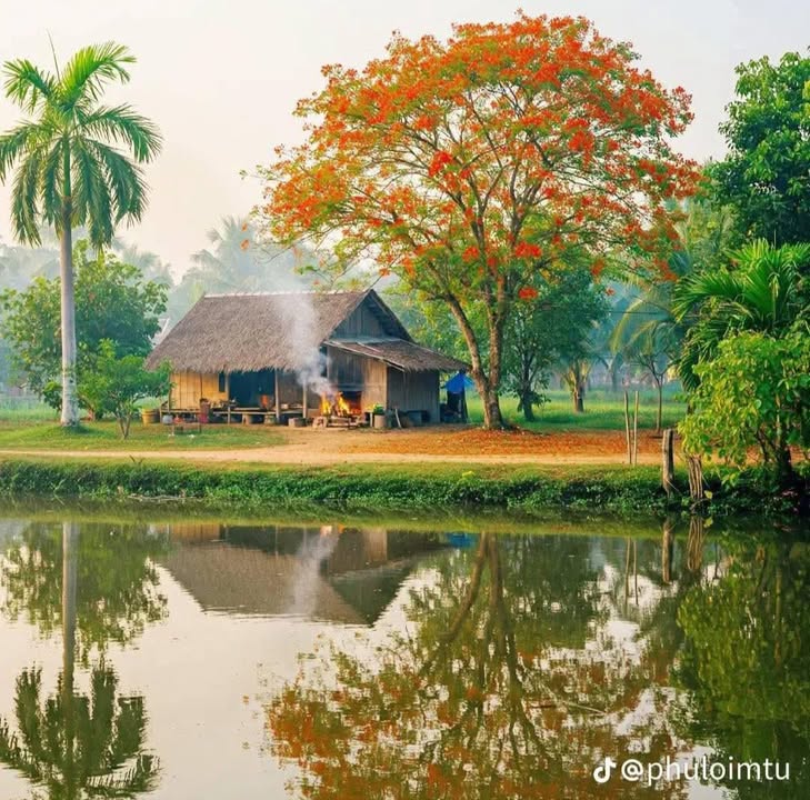 Đất nền Phủ Lý 894m² - Vị trí đẹp, giá thỏa thuận!