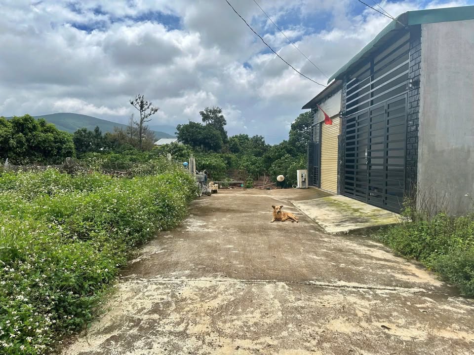 Đất thổ cư 72m² tại Liên Hiệp, Đức Trọng - Giá chỉ 1.05 tỷ, chính chủ!