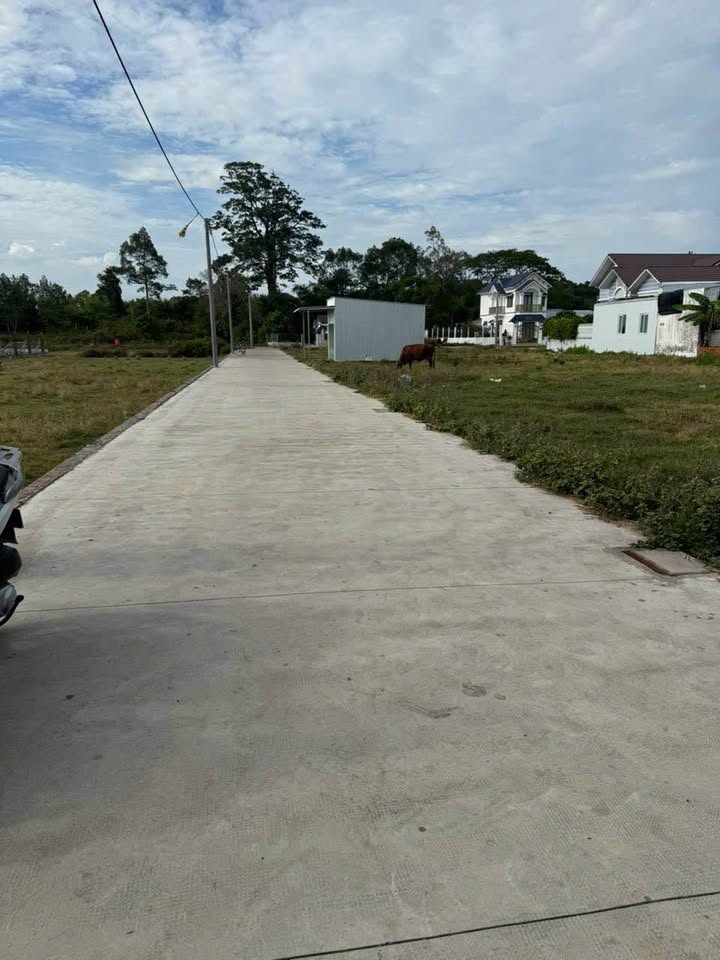 Đất nền phường 8, Trà Vinh 204m² - Giá mềm, đầu tư lý tưởng!