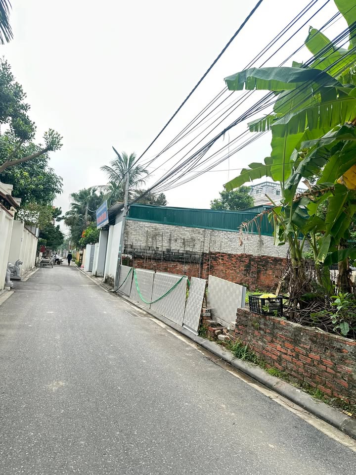 Đất nền Nguyên Khê 40m² giá 3 tỷ - Chính chủ bán gấp, nở hậu!