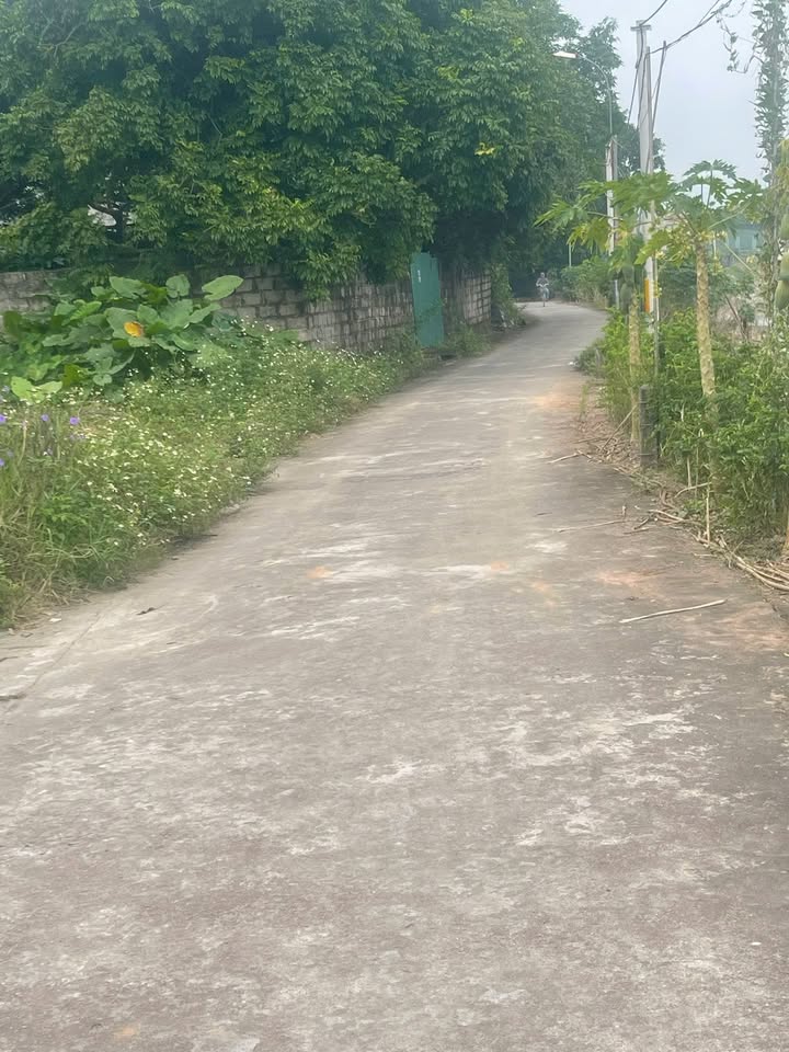 Đất nền Hồng Quang 49.1m² giá 790 triệu - Cơ hội đầu tư sinh lời cao!