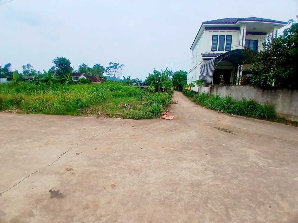 Đất nền 196m² tại Nghĩa Đàn - Vị trí đẹp, giá thỏa thuận!