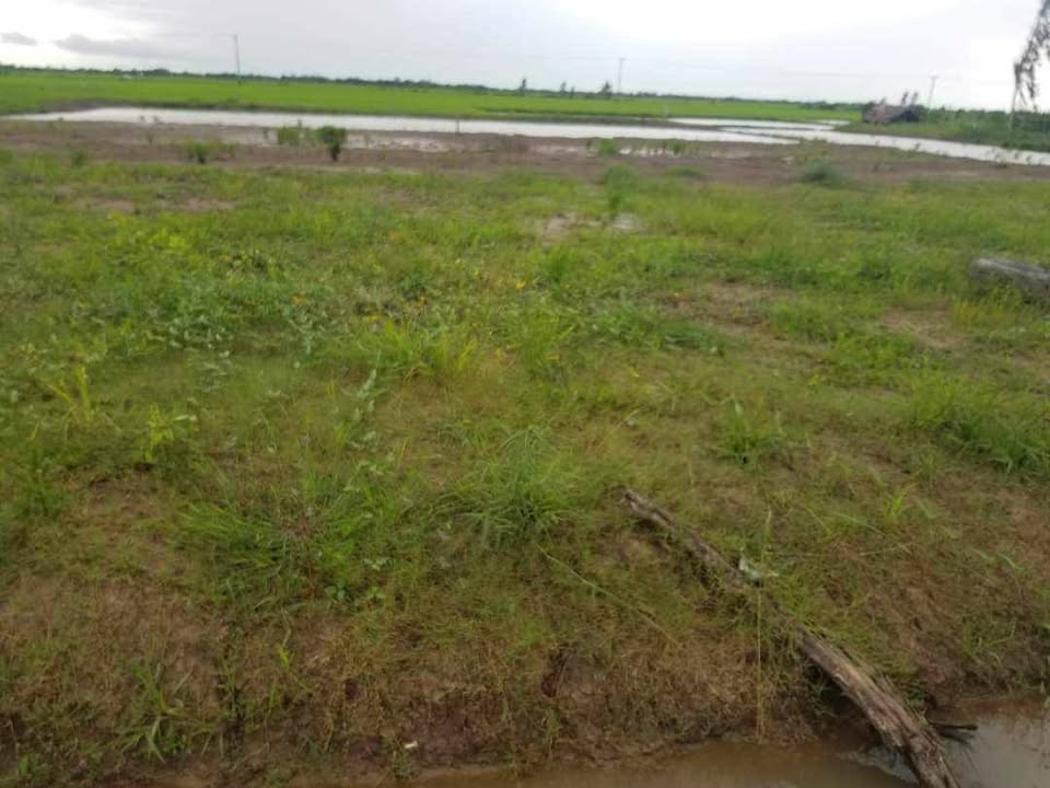 Đất nền ấp Đào Viên, xã Thạnh Quới, 1327.75m² - Cơ hội đầu tư hấp dẫn!