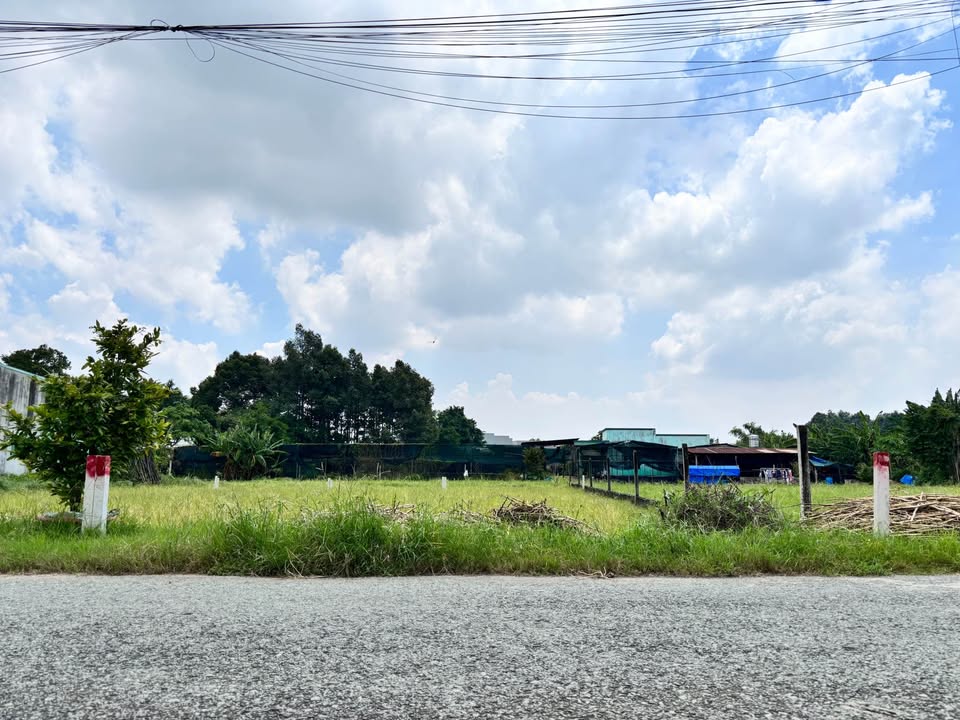 Đất Tân Thông Hội Củ Chi 156m² giá 2 tỷ - Đầu tư sinh lời ngay lập tức!