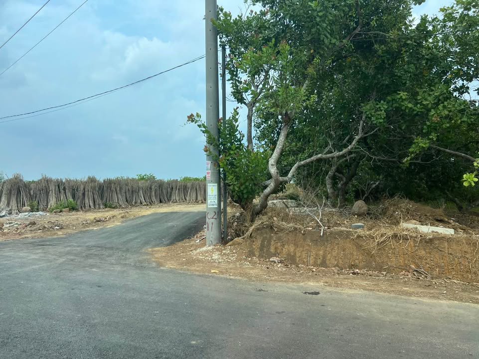 Đất nền 1600m² xã Hưng Thịnh, Trảng Bom, Đồng Nai - Sổ hồng chính chủ chỉ 500 triệu