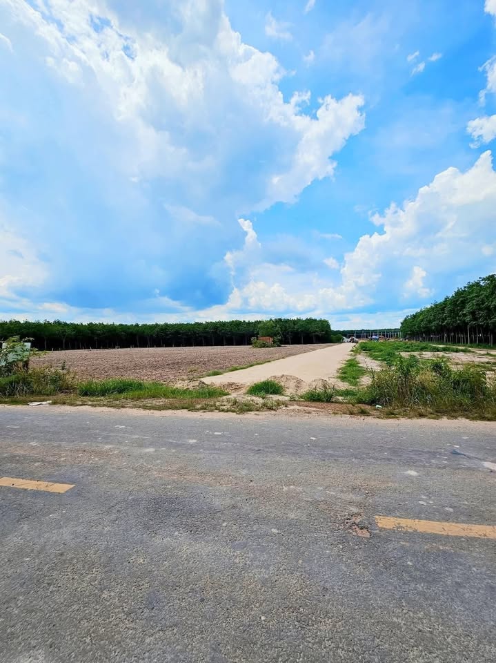 Đất SKC mặt tiền đường DH437 Bắc Tân Uyên 57.000m² giá 21 tỷ - Đầu tư sinh lời ngay!