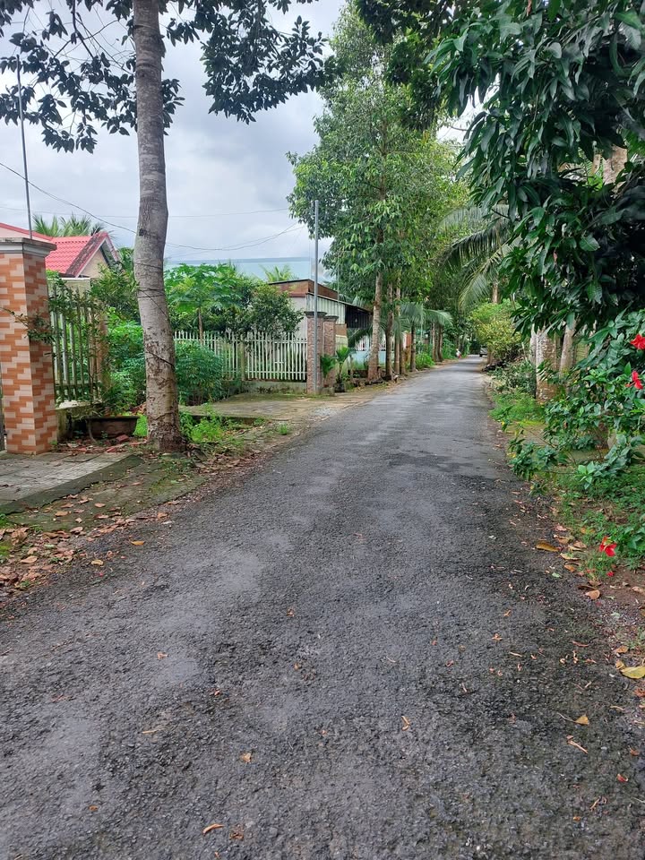 Đất nền Phường An Hội, Bến Tre 99m² giá chỉ 480 triệu - Cơ hội đầu tư tuyệt vời!