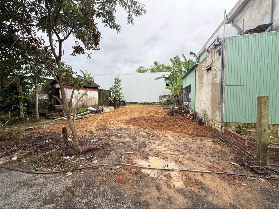 Đất Phước Hưng Nam - Đà Nẵng 126m² giá 1.2 tỷ - Sổ đỏ chính chủ, vị trí đắc địa!