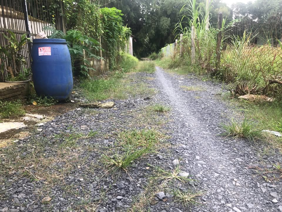 Nhà vườn Ấp Xóm Huế, Tân An Hội, Củ Chi 200m² giá 2 tỷ - Mặt tiền đường xe tải