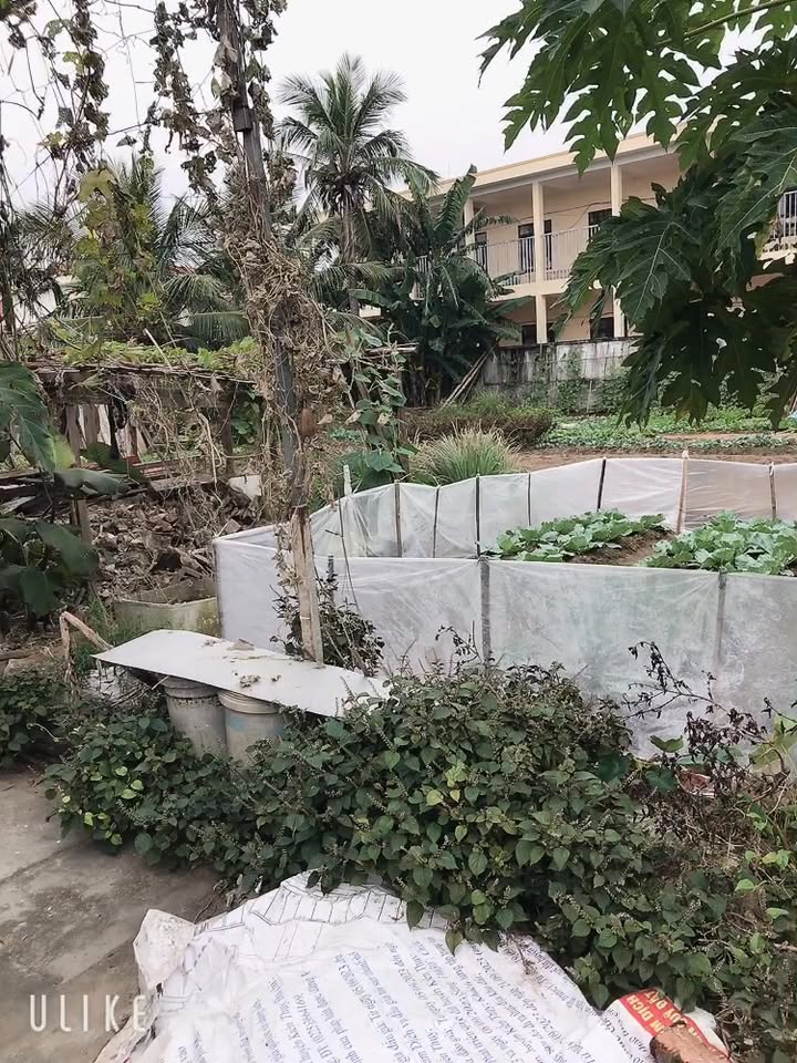 Đất nền Kiến Hưng 200m² giá 12 triệu - Vị trí đắc địa gần trường mầm non