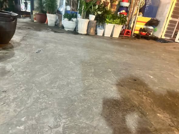 Nhà phố 103 Tân Hòa Đông, Quận 6, 18m² giá 2.55 tỷ - Sổ hồng riêng, tiện ích đầy đủ!