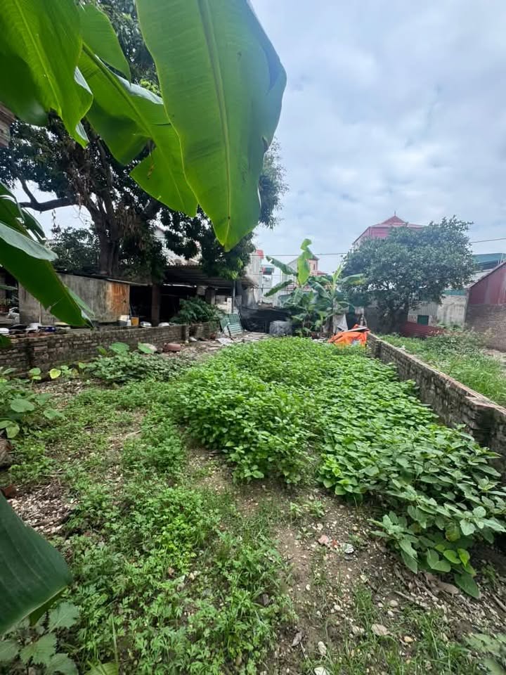 Đất nền Đa Tốn, Gia Lâm 44m² - Sổ đỏ chính chủ, ô tô vào tận nơi!