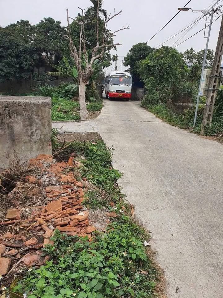 Lô đất An Nội, Bình Lục 78m² giá chỉ vài trăm triệu - Đầu tư tiềm năng!