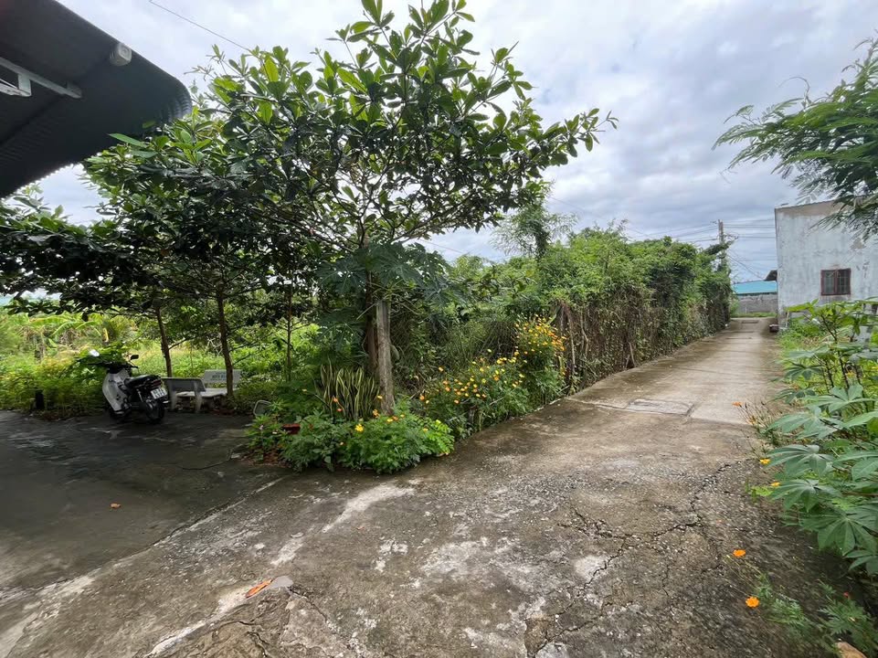 Đất nền Tân Mỹ Chánh, Mỹ Tho 113.4m² giá 850 triệu - Sổ hồng chính chủ!