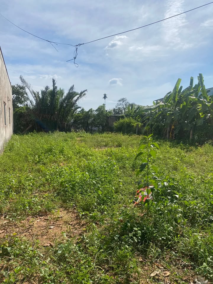 Đất nền mặt tiền đường Trần Văn Hiển Mỹ Tho 93m² giá 2.9 tỷ - Cơ hội đầu tư tuyệt vời!