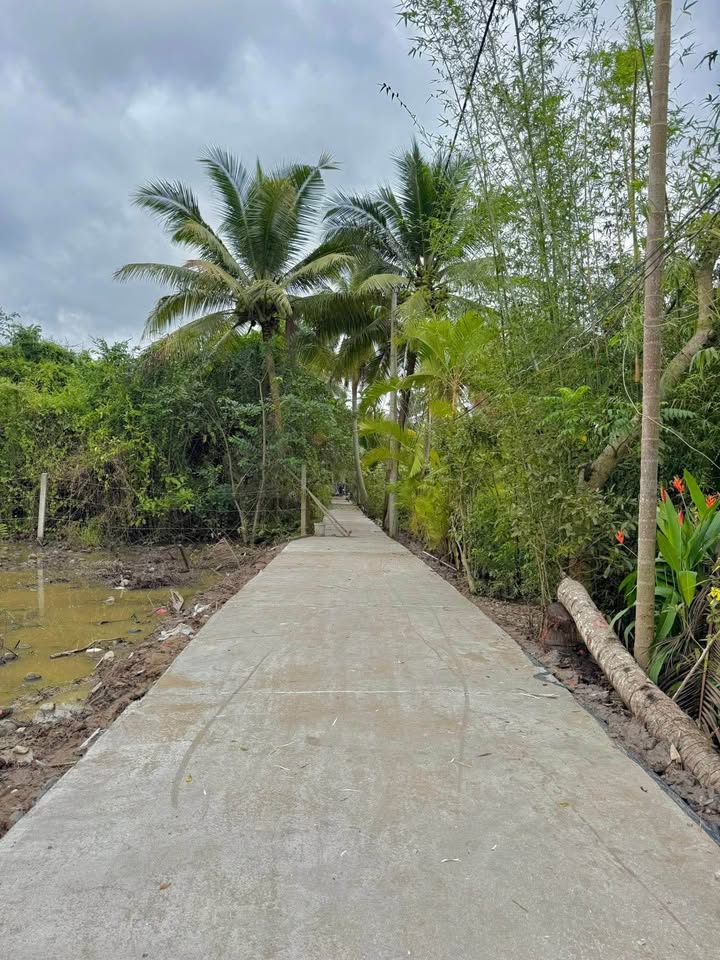 Đất nền Phước Thạnh - Mỹ Tho 50m² giá 450 triệu - Đầu tư sinh lời ngay!