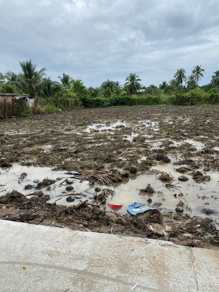 Đất nền Phước Thạnh, Mỹ Tho 100m² giá 450 triệu - Đường ô tô vào tận nơi!