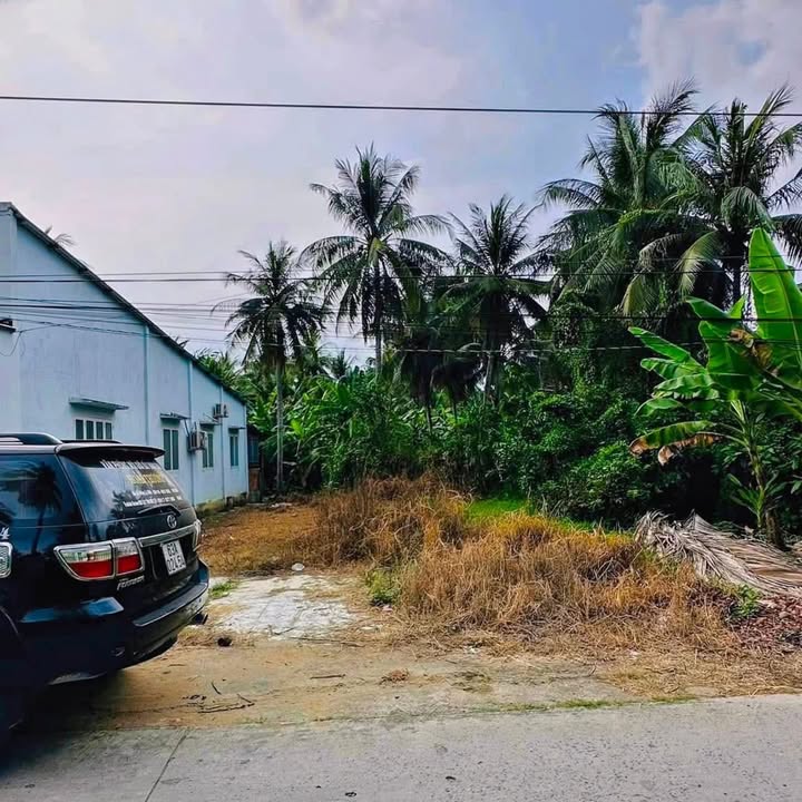 Đất thổ cư Vĩnh Hựu 229m² giá 550 triệu - Cơ hội đầu tư tuyệt vời!