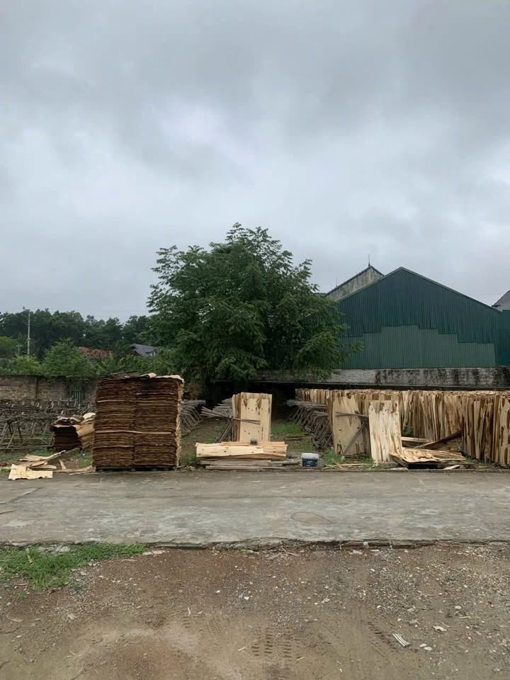 Đất Quảng Oai 130m² giá chỉ 1 tỷ - Cơ hội đầu tư hấp dẫn!