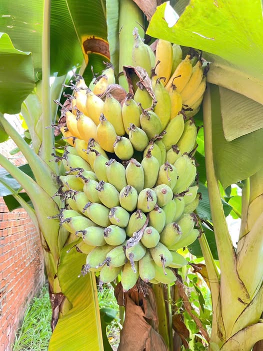 Đất thổ cư 300m² tại Quốc lộ 13, Bến Cát - Giá 2.5 tỷ - Đầu tư sinh lời ngay!