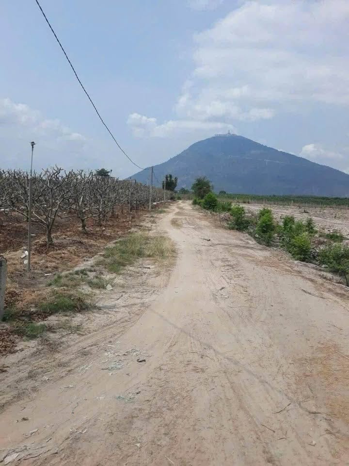 Đất nền Tân Hưng, Tân Châu, Tây Ninh 38.000m² giá 1.7 tỷ - Cơ hội đầu tư tuyệt vời!