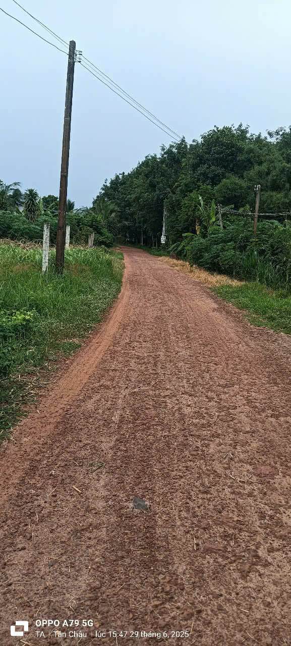 Đất thổ cư Tân Hiệp, Tân Châu, Tây Ninh 240m² giá 50 triệu - Cơ hội đầu tư hấp dẫn!