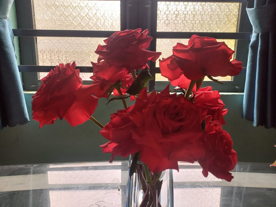 Nhà nguyên căn cho thuê tại Hòa Thành, Tây Ninh - Sân trước thoáng mát, hướng Đông