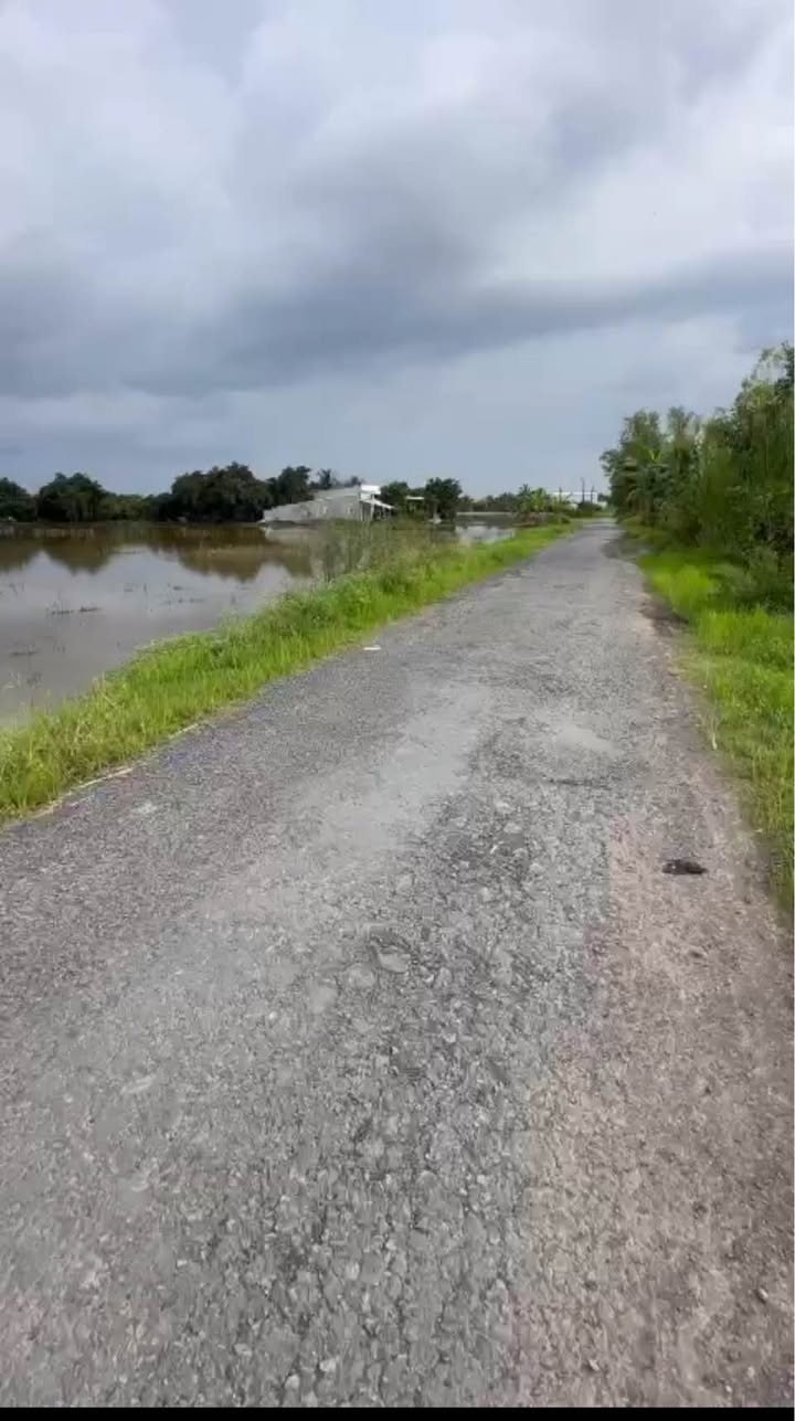 Đất nông nghiệp 3ha tại xã Mỹ Thuận, Vĩnh Long - Giá tốt chỉ 9.6 tỷ!