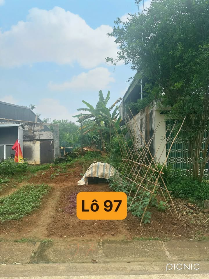 Đất nền đường TN 7 - Xuân Tăng 125m² giá 1.3 tỷ - Hướng Đông Nam siêu hiếm!