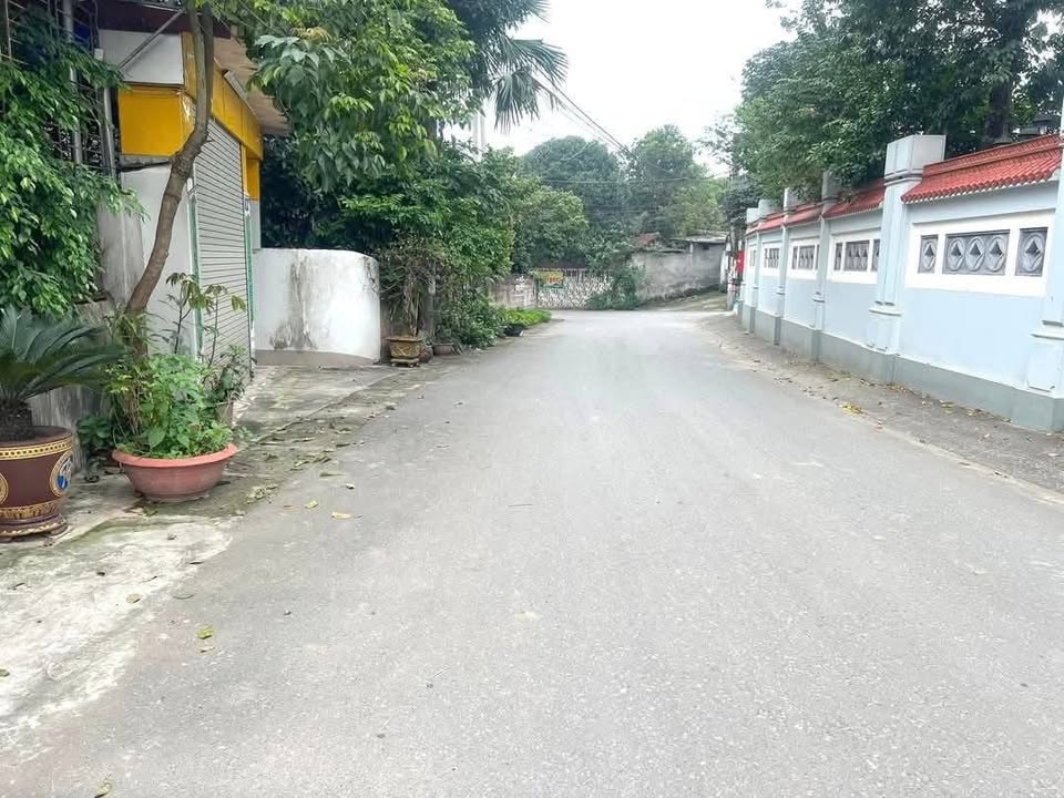 Đất nền 105m² tại đường Nguyễn Thái Học, phường Hùng Vương - Giá tốt chỉ 1.5 tỷ!