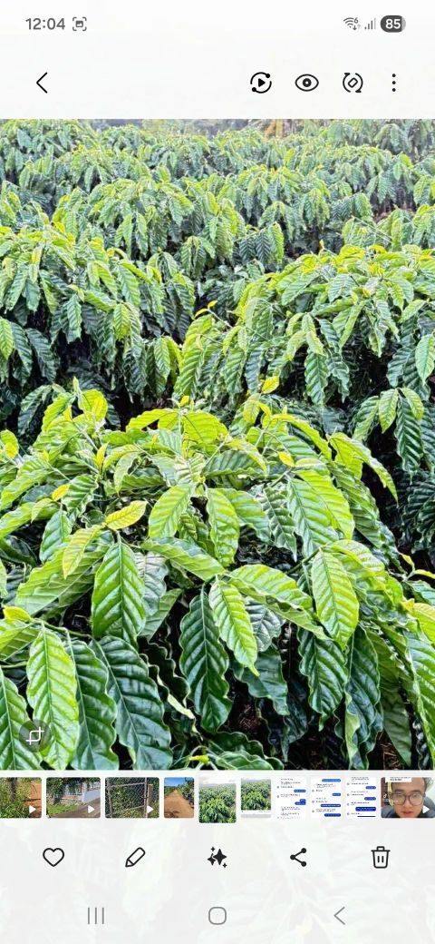 Đất nền Tân Hà, Lâm Hà 2700m² giá 1.8 tỷ - Cơ hội đầu tư hiếm có!