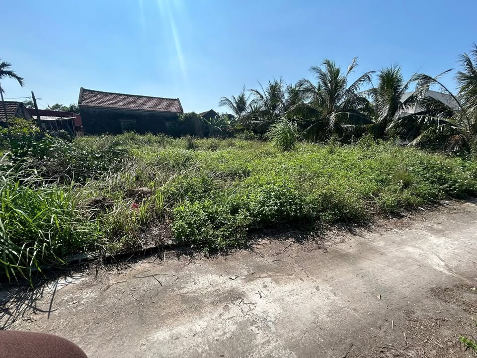 Đất thổ cư Nghĩa Hải 126m² giá 500 triệu - Sổ đỏ chính chủ, gần chợ và trường học!