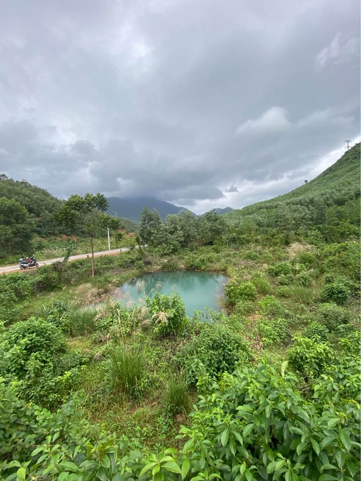 Đất nền 2,8ha tại Hải Vân, Đà Nẵng - Cơ hội đầu tư tuyệt vời!