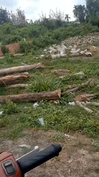 Đất thổ cư Gò Dầu 1050m² giá thỏa thuận - Mặt tiền đường nhựa rộng rãi!