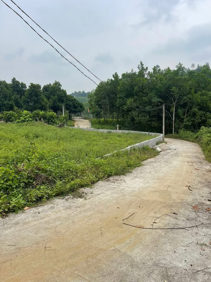 Đất nền chính chủ Tiên Phú, Phù Ninh 1200m² chỉ 1 tỷ - Cơ hội đầu tư tuyệt vời!