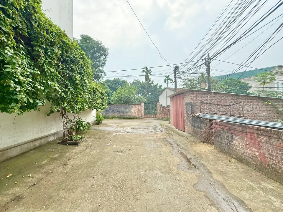 Đất thổ cư Minh Phương Việt Trì 156m² giá 3 tỷ - Mặt tiền rộng, đường ô tô tránh nhau!