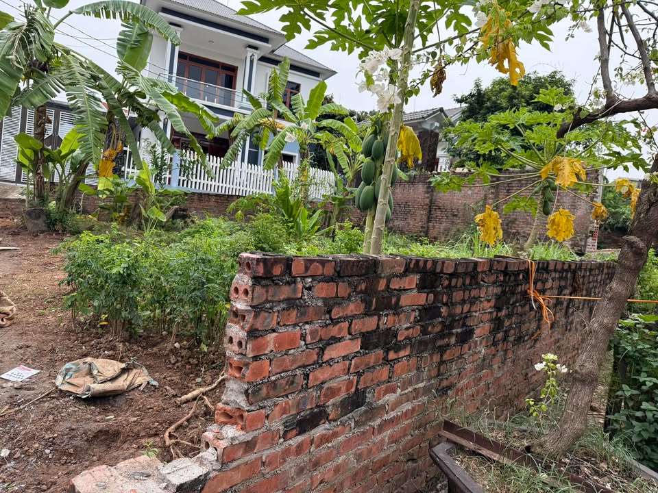 Đất nền phường Thanh Miếu 68m² giá 1.95 tỷ - Khu dân cư sầm uất!