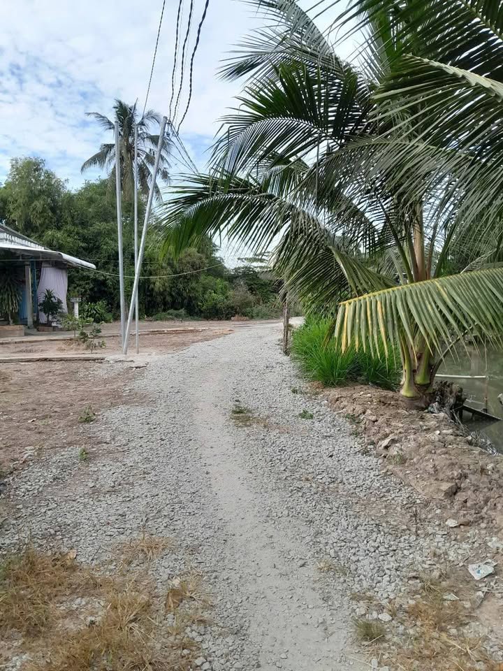 Đất nền Trung Nhứt, Thốt Nốt 192m² giá 600 triệu - Không thể bỏ lỡ!