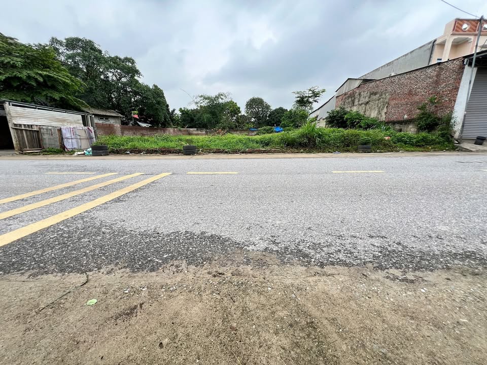 Đất nền thôn 12, xã Hoàng Hoa, Tam Dương 217m² giá 1.8 tỷ - Đầu tư sinh lời hấp dẫn!