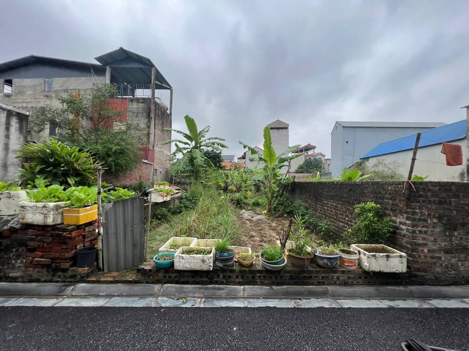 Đất nền 86m² Viên Nội, Vân Nội, Đông Anh chỉ 7.x triệu – Cơ hội đầu tư hấp dẫn!