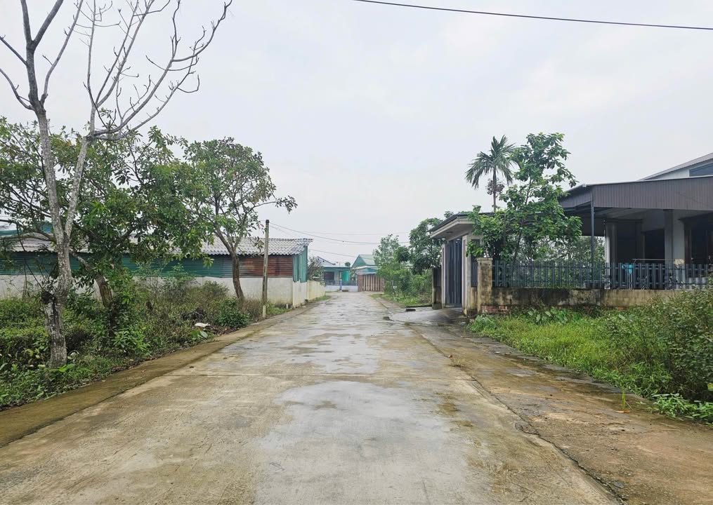 Đất thổ cư thôn Tân Hòa, Tân Lâm Hương, Thạch Hà 148m² giá thỏa thuận - Vị trí đẹp, tiện ích phong phú!