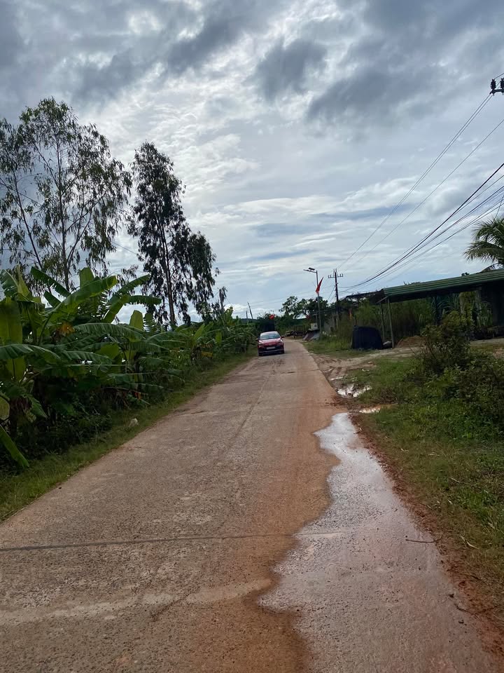 Đất nền Vụ Bổn, Krông Pắc 3000m² giá thỏa thuận - Cơ hội đầu tư tuyệt vời!