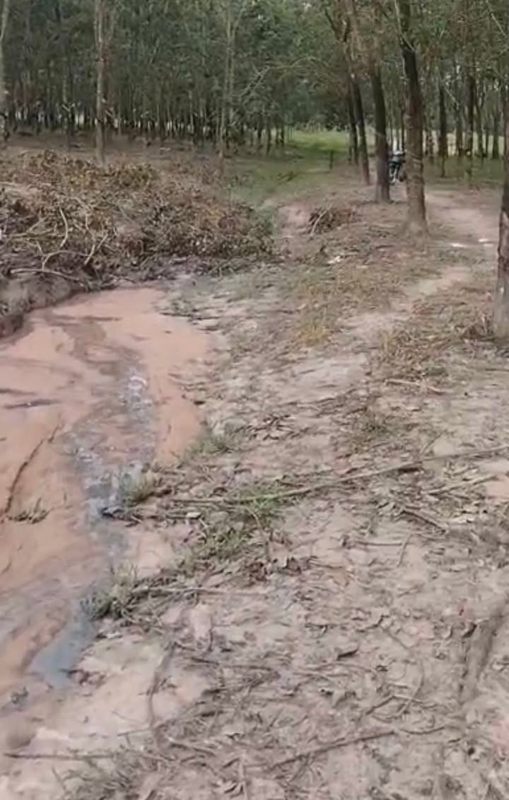 Đất nền xã Thạnh Tây, Tân Biên 10,000m² giá 1.3 tỷ - Cơ hội đầu tư hấp dẫn!