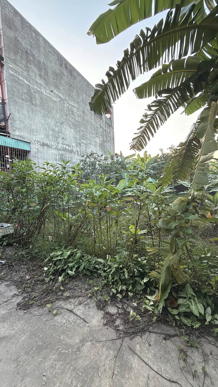 Đất Cự Khối Long Biên 300m² giá thỏa thuận - Mặt tiền 14m đón dòng tiền mạnh!