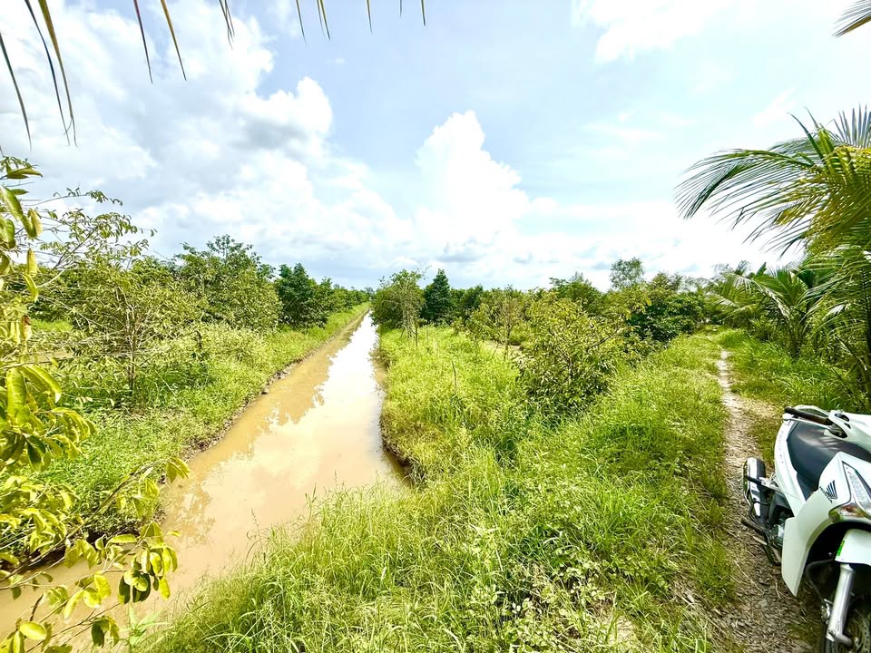 Đất thổ cư 300m² + 800m² đất CLN tại Thới Long, Ô Môn - Cơ hội đầu tư sinh lời!